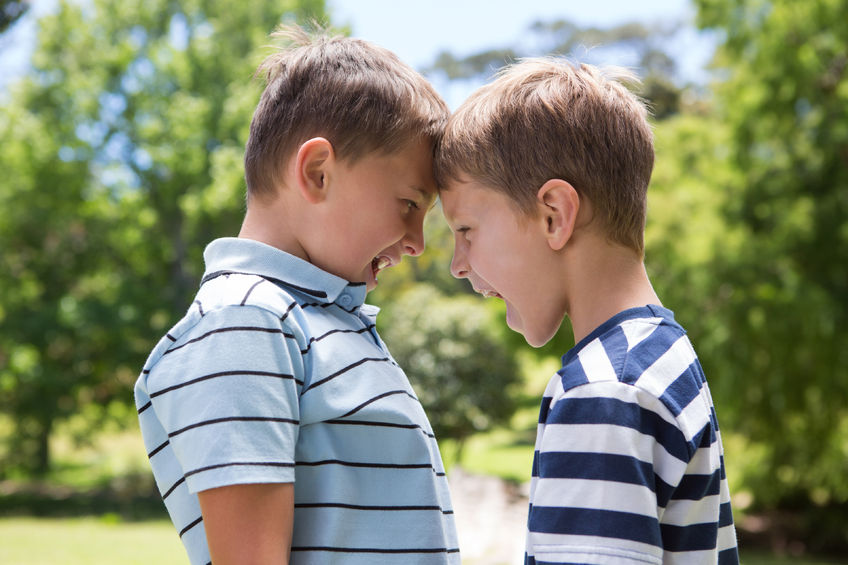 Sibling boys having a fight, bullying on a sunny day